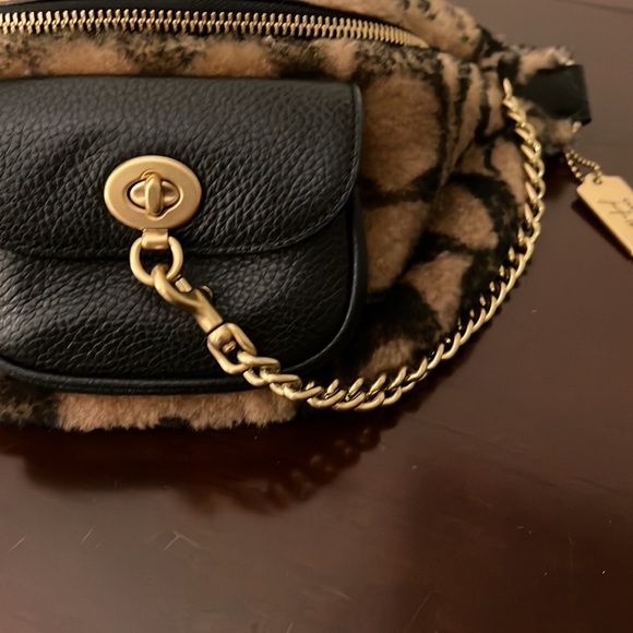 Coach - Picture 9 of 10